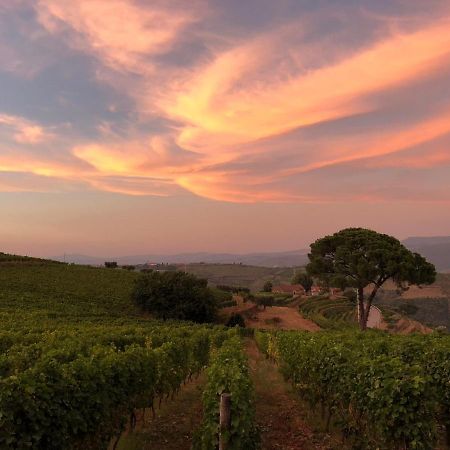 Quinta Dos Espinheiros Villa Provesende ภายนอก รูปภาพ
