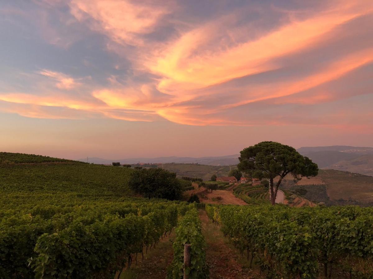 Quinta Dos Espinheiros Villa Provesende ภายนอก รูปภาพ