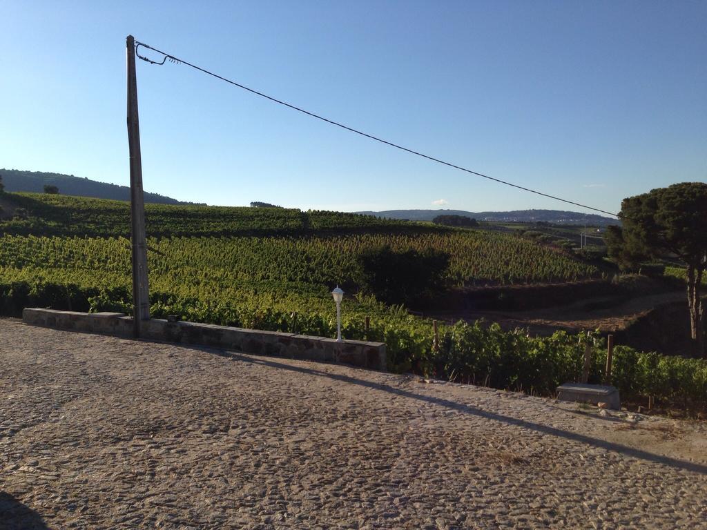 Quinta Dos Espinheiros Villa Provesende ห้อง รูปภาพ
