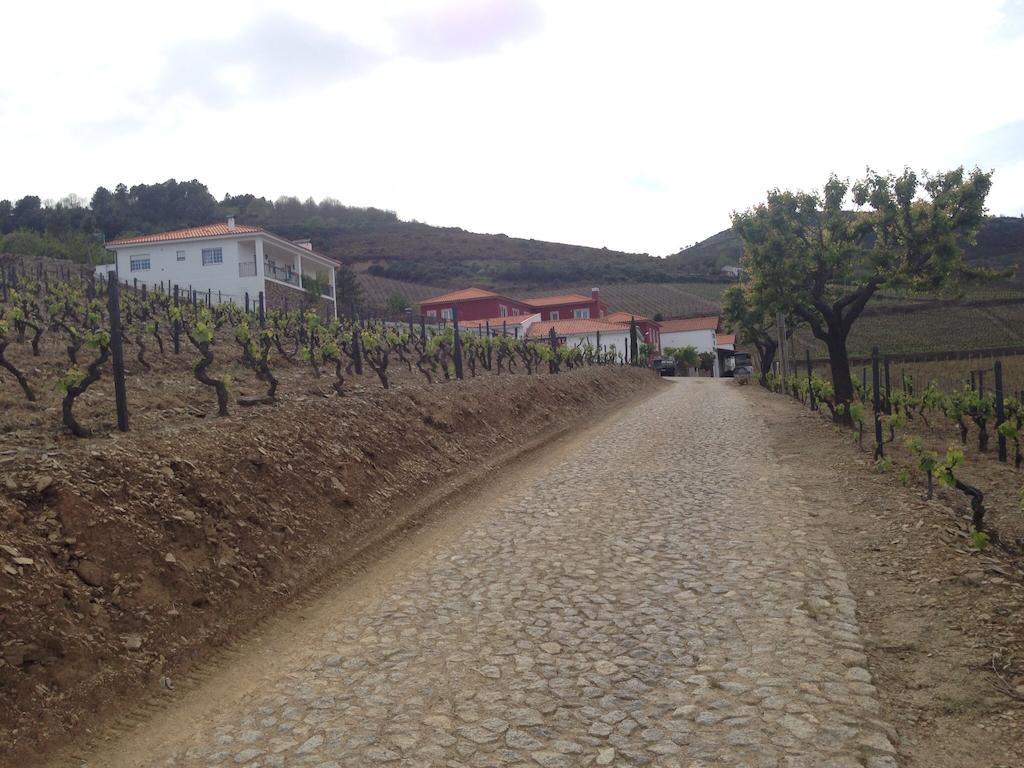 Quinta Dos Espinheiros Villa Provesende ห้อง รูปภาพ