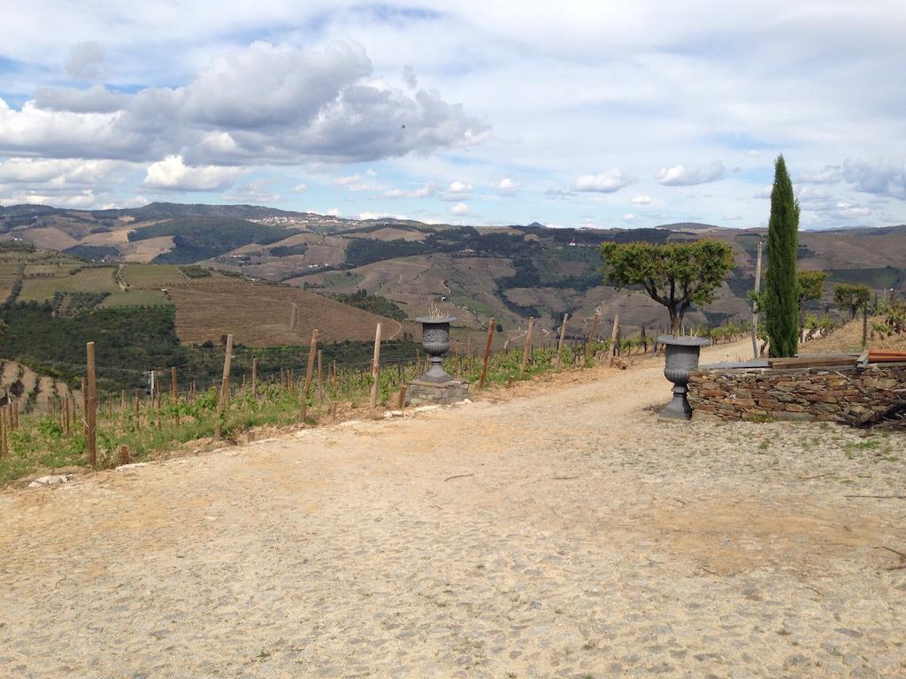Quinta Dos Espinheiros Villa Provesende ห้อง รูปภาพ