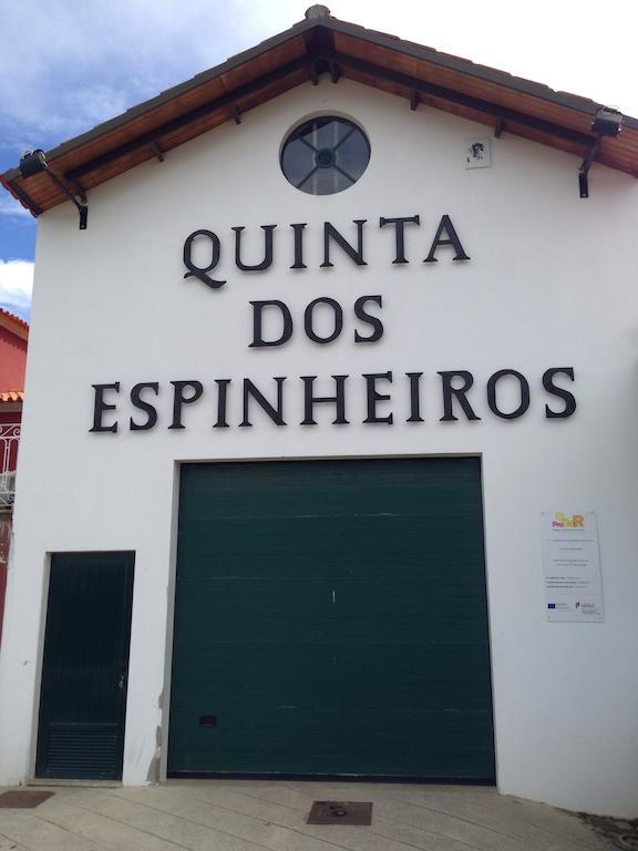 Quinta Dos Espinheiros Villa Provesende ห้อง รูปภาพ