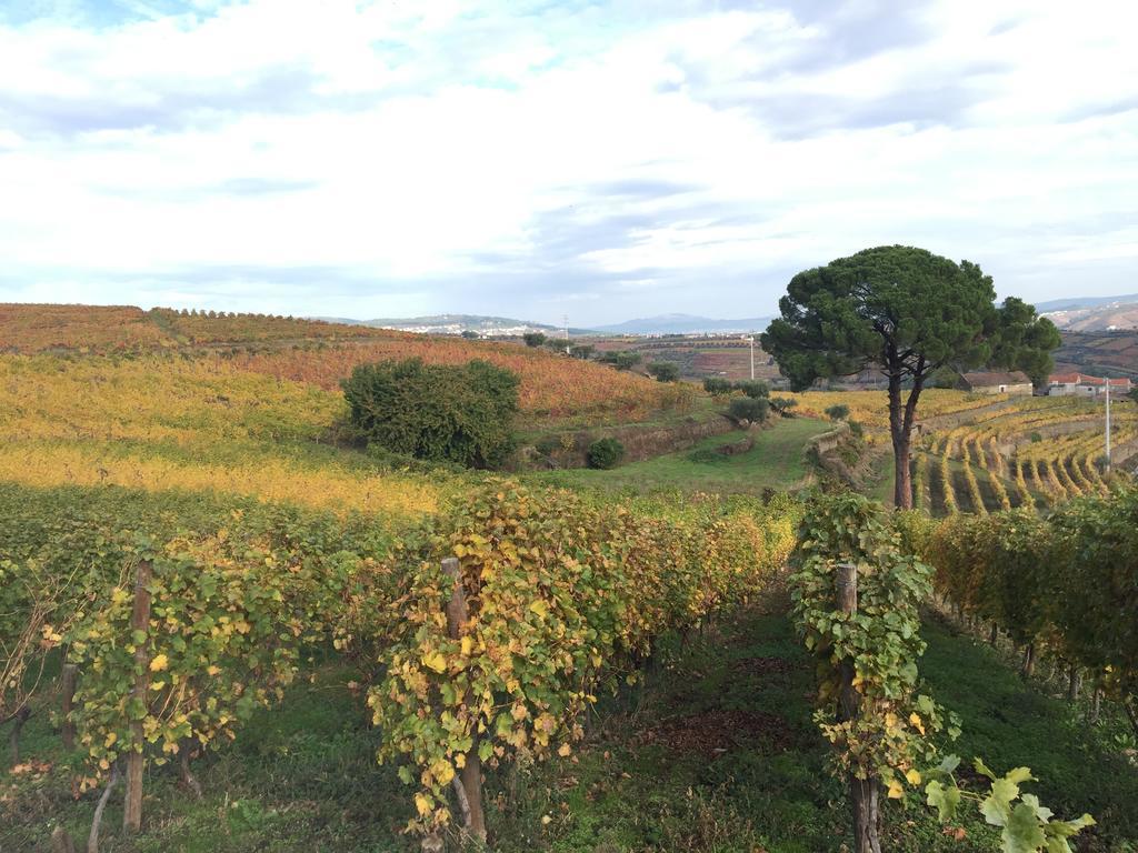 Quinta Dos Espinheiros Villa Provesende ภายนอก รูปภาพ
