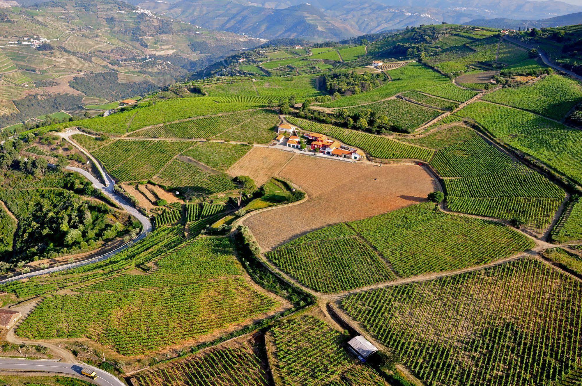 Quinta Dos Espinheiros Villa Provesende ภายนอก รูปภาพ