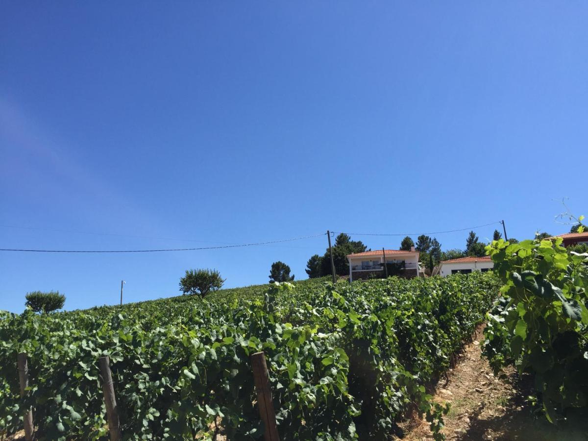 Quinta Dos Espinheiros Villa Provesende ห้อง รูปภาพ