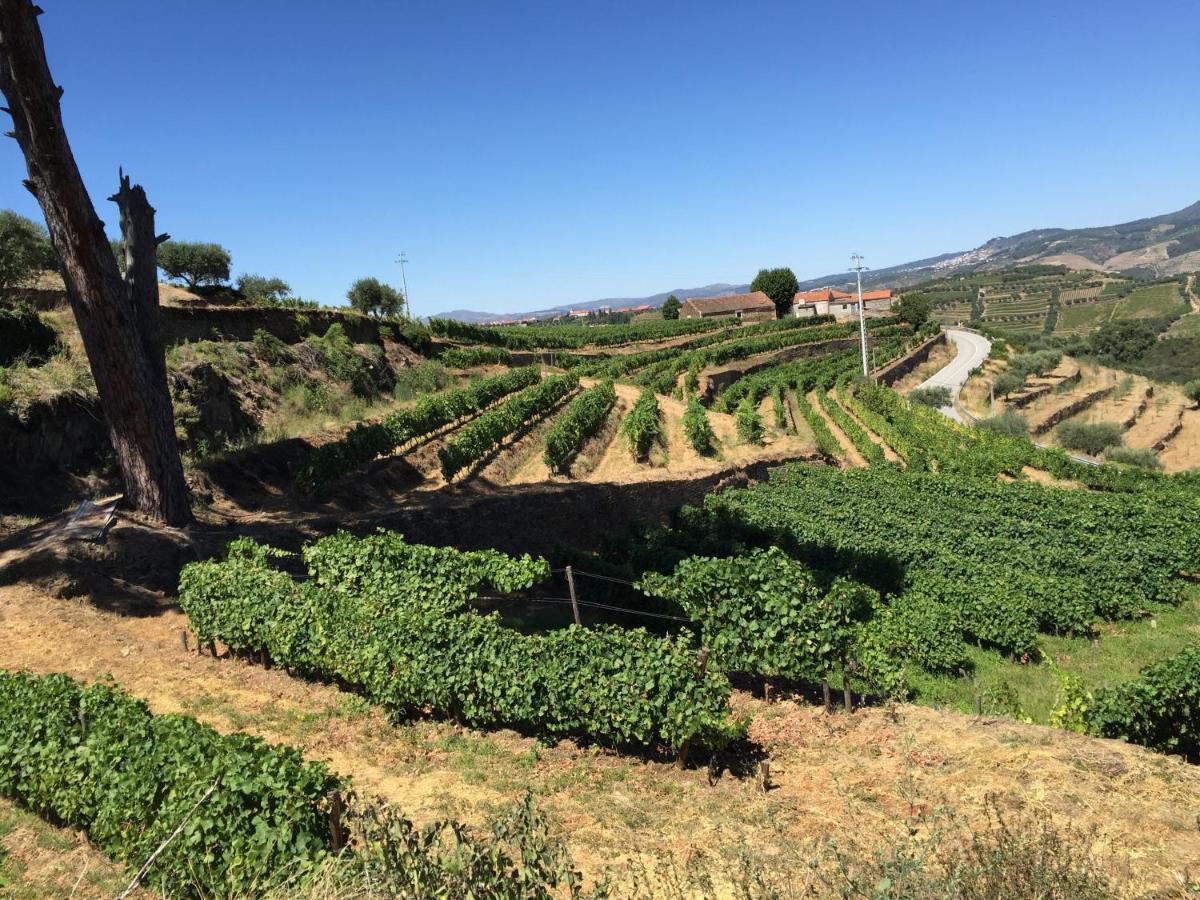 Quinta Dos Espinheiros Villa Provesende ห้อง รูปภาพ
